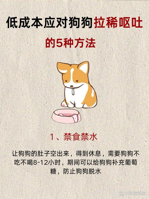 狗狗上吐下泻怎么回事_狗狗上吐下泻是什么原因引起的-第3张图片-后鲨宠物 狗狗上吐下泻怎么回事_狗狗上吐下泻是什么原因引起的-第3张图片-后鲨宠物