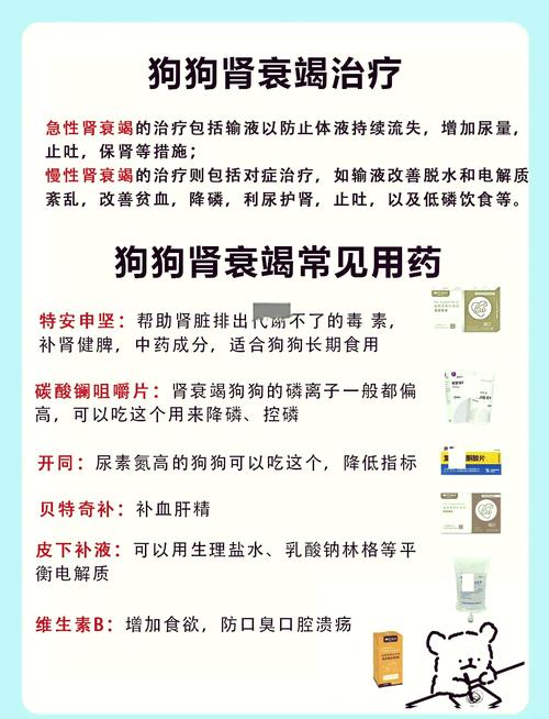 狗狗上吐下泻怎么回事_狗狗上吐下泻是什么原因引起的-第6张图片-后鲨宠物 狗狗上吐下泻怎么回事_狗狗上吐下泻是什么原因引起的-第6张图片-后鲨宠物
