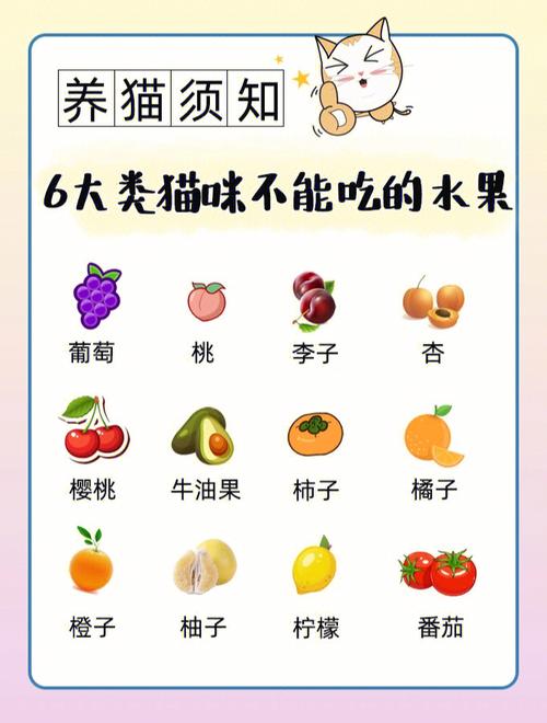 猫猫能吃板栗吗,猫咪可以吃板栗不?-第4张图片-后鲨宠物 猫猫能吃板栗吗,猫咪可以吃板栗不?-第4张图片-后鲨宠物