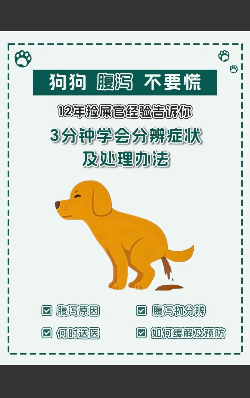 狗狗老拉稀是怎么回事,狗狗为啥老拉稀?-第1张图片-后鲨宠物 狗狗老拉稀是怎么回事,狗狗为啥老拉稀?-第1张图片-后鲨宠物