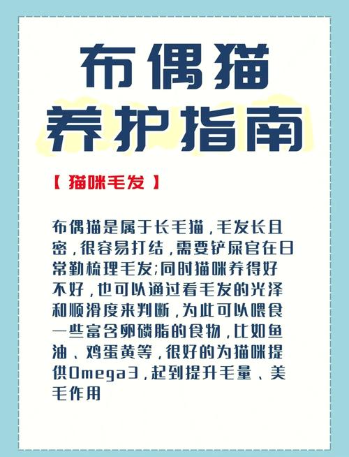 猫咪驱虫多久一次_成年猫咪驱虫多久一次-第1张图片-后鲨宠物 猫咪驱虫多久一次_成年猫咪驱虫多久一次-第1张图片-后鲨宠物