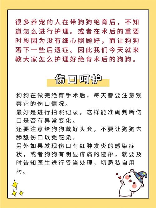 狗狗吃什么伤口愈合快,狗狗吃啥伤口愈合的快点-第1张图片-后鲨宠物 狗狗吃什么伤口愈合快,狗狗吃啥伤口愈合的快点-第1张图片-后鲨宠物