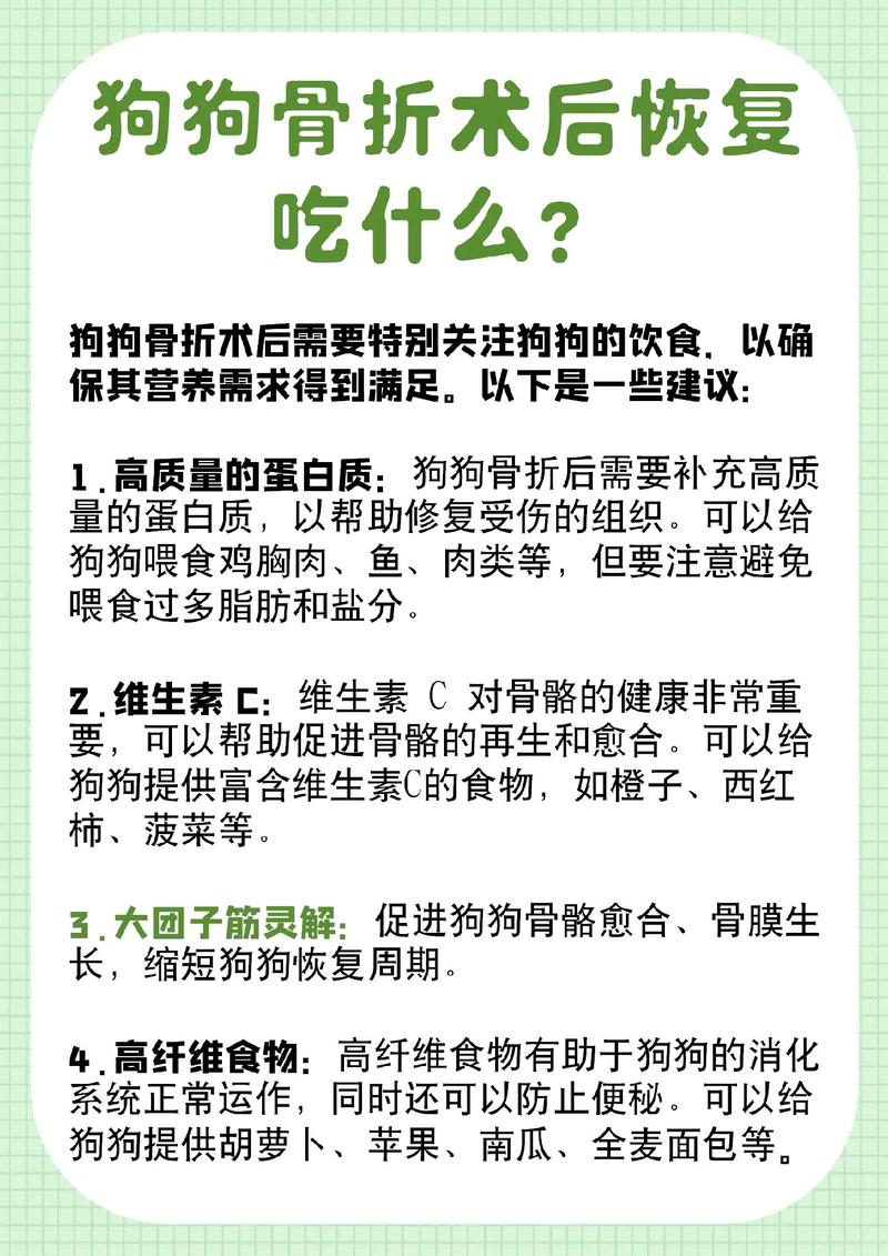 狗狗吃什么伤口愈合快,狗狗吃啥伤口愈合的快点-第4张图片-后鲨宠物 狗狗吃什么伤口愈合快,狗狗吃啥伤口愈合的快点-第4张图片-后鲨宠物