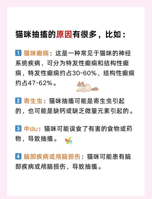 猫咪睡着后有轻微抽搐_猫咪睡着了有点抽搐-第3张图片-后鲨宠物 猫咪睡着后有轻微抽搐_猫咪睡着了有点抽搐-第3张图片-后鲨宠物