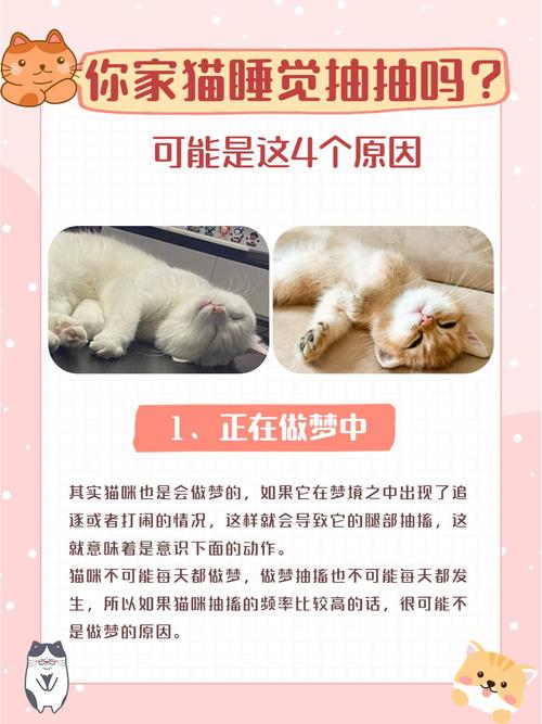 猫咪睡着后有轻微抽搐_猫咪睡着了有点抽搐-第5张图片-后鲨宠物 猫咪睡着后有轻微抽搐_猫咪睡着了有点抽搐-第5张图片-后鲨宠物