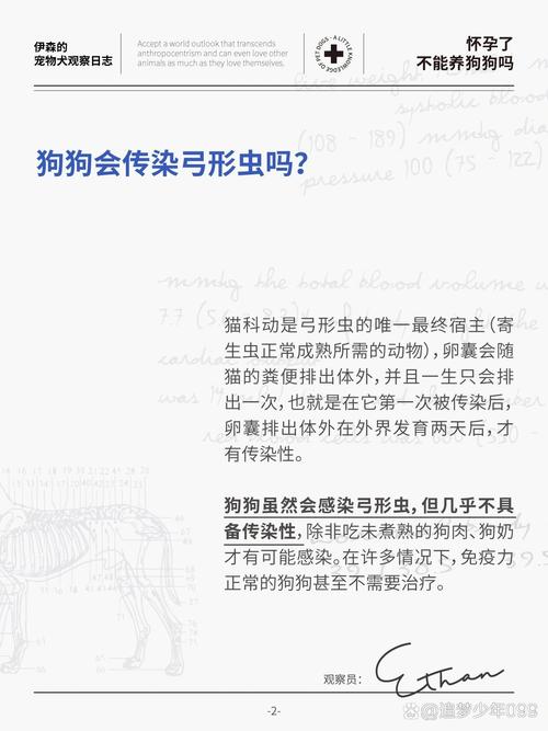 狗狗会传染弓形虫吗,狗狗会不会感染弓形虫?-第3张图片-后鲨宠物 狗狗会传染弓形虫吗,狗狗会不会感染弓形虫?-第3张图片-后鲨宠物