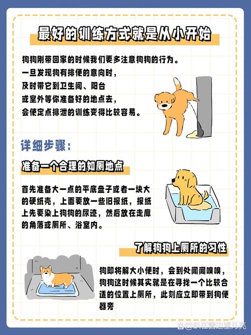 如何训练狗狗拉屎,如何训练小狗去卫生间大小便-第1张图片-后鲨宠物 如何训练狗狗拉屎,如何训练小狗去卫生间大小便-第1张图片-后鲨宠物