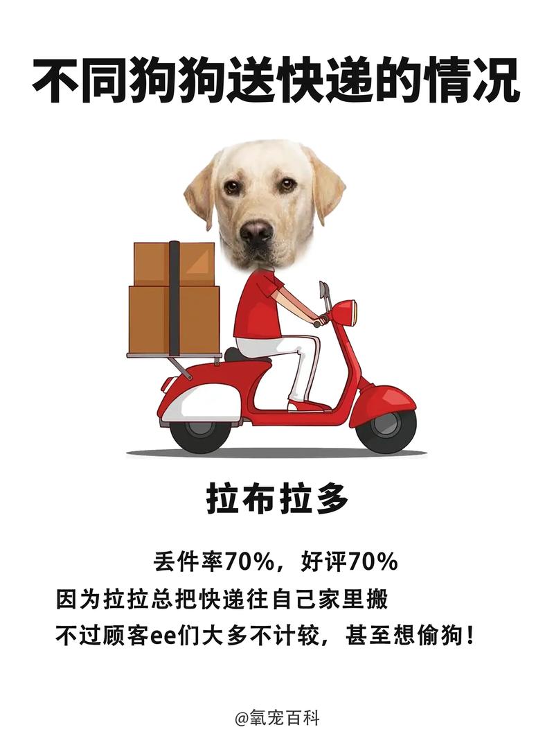 快递狗狗怎么快递,快递狗狗怎么快递回来?-第1张图片-后鲨宠物 快递狗狗怎么快递,快递狗狗怎么快递回来?-第1张图片-后鲨宠物