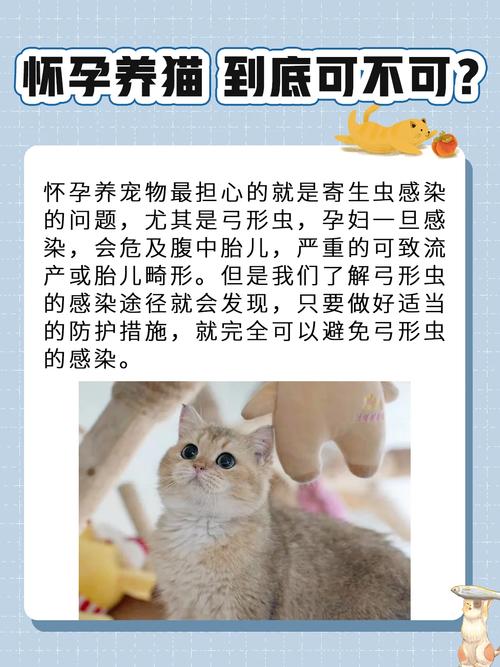 孕妇能抱猫咪吗,怀孕可以抱猫吗?-第1张图片-后鲨宠物 孕妇能抱猫咪吗,怀孕可以抱猫吗?-第1张图片-后鲨宠物