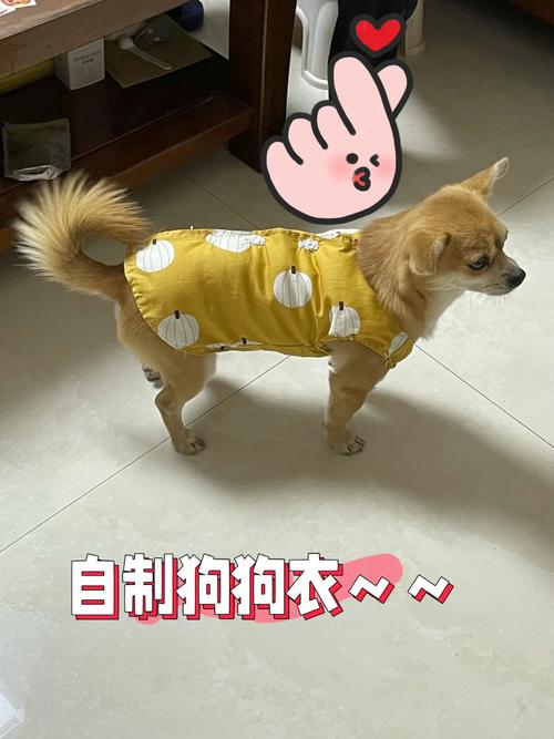 手工制作狗狗衣服_手工制作狗狗衣服图片-第4张图片-后鲨宠物 手工制作狗狗衣服_手工制作狗狗衣服图片-第4张图片-后鲨宠物