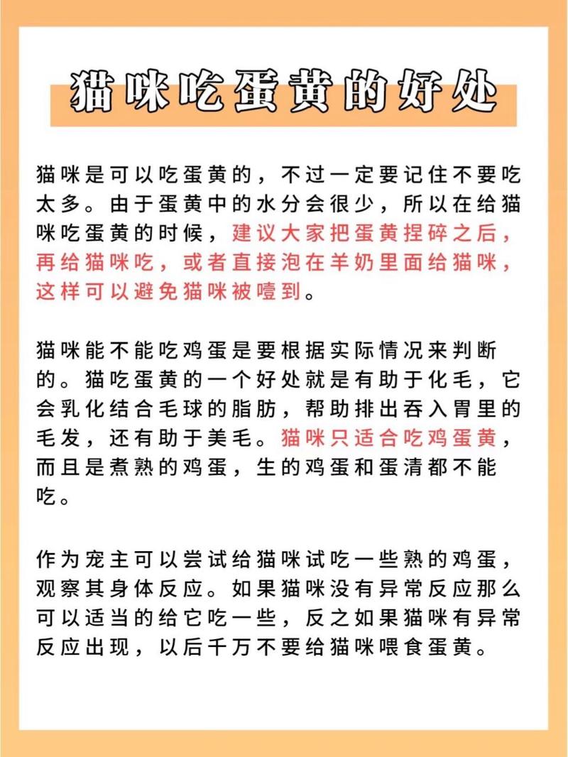 蛋黄猫咪可以吃吗,蛋黄可以直接给猫吃吗-第6张图片-后鲨宠物 蛋黄猫咪可以吃吗,蛋黄可以直接给猫吃吗-第6张图片-后鲨宠物
