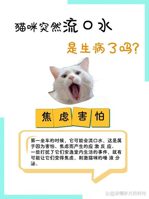 猫咪突然大量流口水,猫咪突然大量流口水呕吐-第1张图片-后鲨宠物 猫咪突然大量流口水,猫咪突然大量流口水呕吐-第1张图片-后鲨宠物