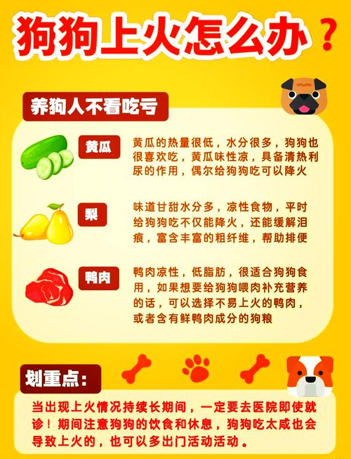 狗狗上火吃什么,狗狗上火吃什么药管用?-第4张图片-后鲨宠物 狗狗上火吃什么,狗狗上火吃什么药管用?-第4张图片-后鲨宠物