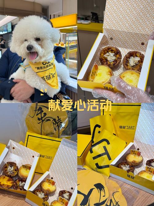 狗狗可以吃蛋挞吗_狗狗可以吃蛋挞吗会死吗-第5张图片-后鲨宠物 狗狗可以吃蛋挞吗_狗狗可以吃蛋挞吗会死吗-第5张图片-后鲨宠物