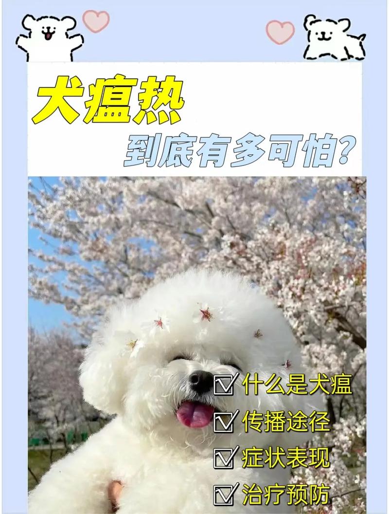 狗狗得了犬瘟怎么治,狗狗得了犬瘟该怎么办?-第1张图片-后鲨宠物 狗狗得了犬瘟怎么治,狗狗得了犬瘟该怎么办?-第1张图片-后鲨宠物