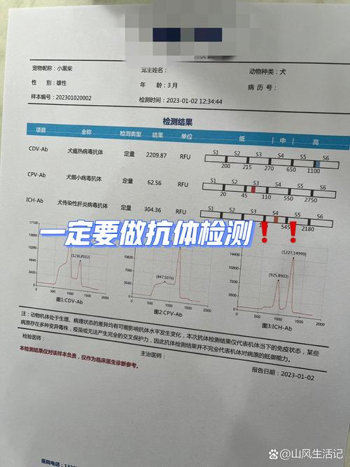 狗狗抗体检测的标准值,狗狗检测抗体分数怎样算正常-第6张图片-后鲨宠物 狗狗抗体检测的标准值,狗狗检测抗体分数怎样算正常-第6张图片-后鲨宠物