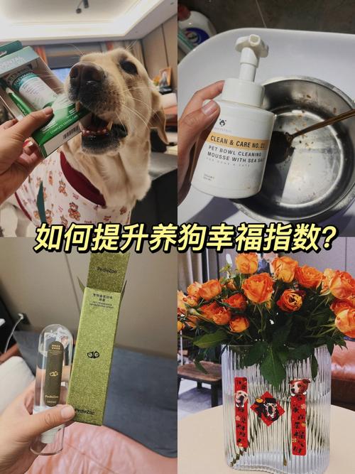 狗狗吃了布条怎么办_狗狗吃了布条多久排出-第5张图片-后鲨宠物 狗狗吃了布条怎么办_狗狗吃了布条多久排出-第5张图片-后鲨宠物