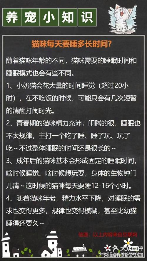 猫咪每天睡多久,猫咪每天要睡多久才好-第1张图片-后鲨宠物 猫咪每天睡多久,猫咪每天要睡多久才好-第1张图片-后鲨宠物