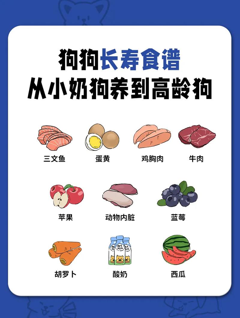 狗狗肠胃不好吃什么,狗狗肠胃不好吃什么药比较好-第1张图片-后鲨宠物 狗狗肠胃不好吃什么,狗狗肠胃不好吃什么药比较好-第1张图片-后鲨宠物