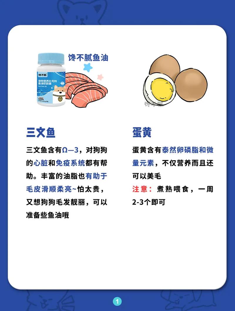 狗狗肠胃不好吃什么,狗狗肠胃不好吃什么药比较好-第2张图片-后鲨宠物 狗狗肠胃不好吃什么,狗狗肠胃不好吃什么药比较好-第2张图片-后鲨宠物