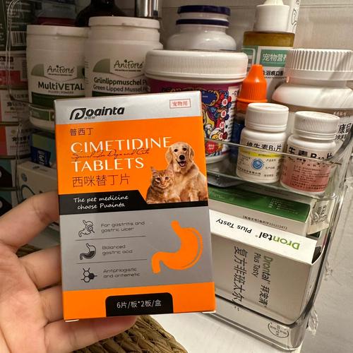 狗狗肠胃不好吃什么,狗狗肠胃不好吃什么药比较好-第5张图片-后鲨宠物 狗狗肠胃不好吃什么,狗狗肠胃不好吃什么药比较好-第5张图片-后鲨宠物