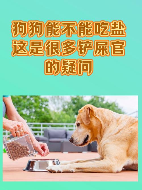狗狗不能吃盐吗,狗狗不能吃盐的食物吗?-第5张图片-后鲨宠物 狗狗不能吃盐吗,狗狗不能吃盐的食物吗?-第5张图片-后鲨宠物