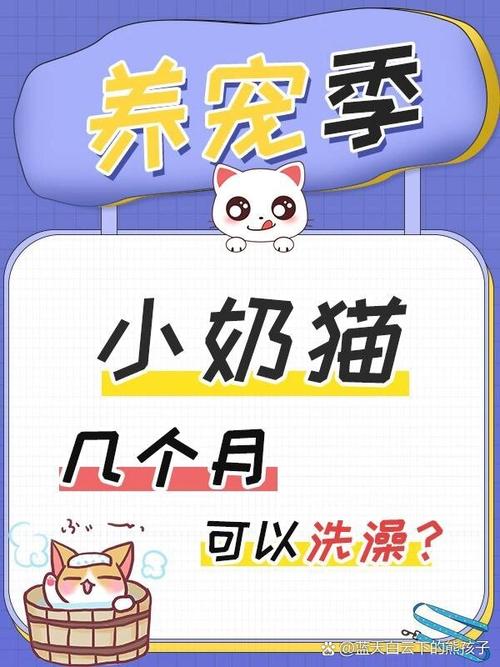 猫咪几个月洗澡,猫咪怎么洗澡才正确?-第2张图片-后鲨宠物 猫咪几个月洗澡,猫咪怎么洗澡才正确?-第2张图片-后鲨宠物