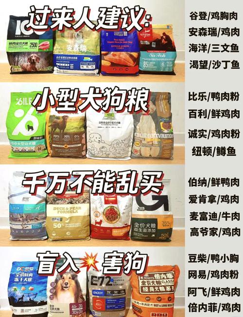 三个月的狗狗吃什么,三个月的狗狗吃什么狗粮合适?-第5张图片-后鲨宠物 三个月的狗狗吃什么,三个月的狗狗吃什么狗粮合适?-第5张图片-后鲨宠物