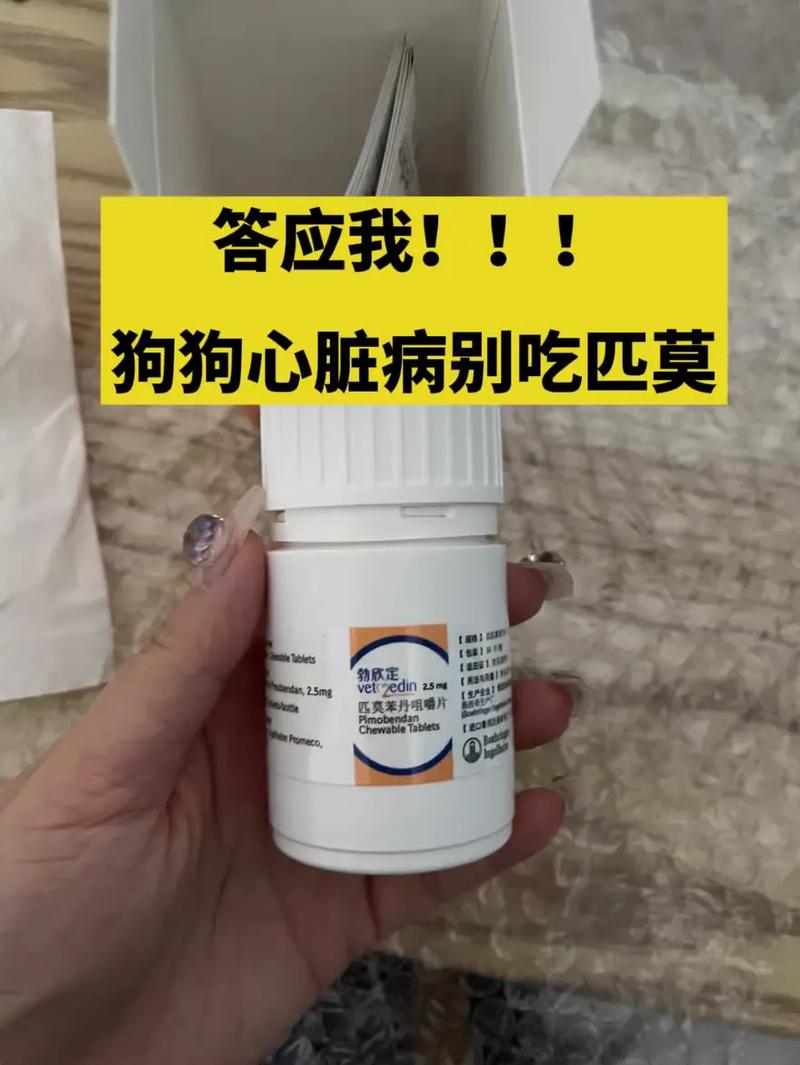 匹莫苯丹狗狗可以长期吃吗,匹莫苯丹咀嚼片喂狗的功效是什么?-第5张图片-后鲨宠物 匹莫苯丹狗狗可以长期吃吗,匹莫苯丹咀嚼片喂狗的功效是什么?-第5张图片-后鲨宠物