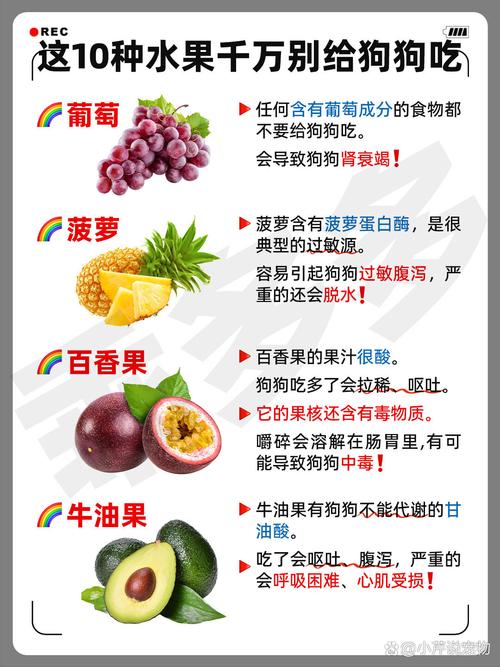 匹莫苯丹狗狗可以长期吃吗,匹莫苯丹咀嚼片喂狗的功效是什么?-第6张图片-后鲨宠物 匹莫苯丹狗狗可以长期吃吗,匹莫苯丹咀嚼片喂狗的功效是什么?-第6张图片-后鲨宠物