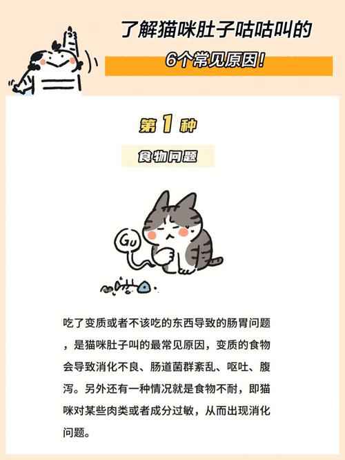 猫咪肚子一直咕咕叫_猫咪肚子一直咕咕叫怎么办-第4张图片-后鲨宠物