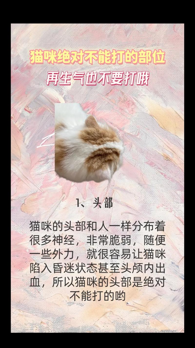 猫咪不听话可以打吗,猫咪实在不听话可以打吗?-第2张图片-后鲨宠物 猫咪不听话可以打吗,猫咪实在不听话可以打吗?-第2张图片-后鲨宠物