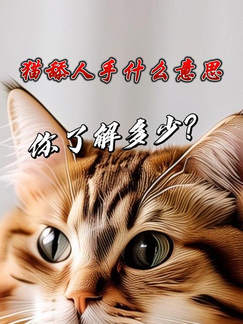 猫咪舔人什么意思_猫舔人说明啥-第5张图片-后鲨宠物 猫咪舔人什么意思_猫舔人说明啥-第5张图片-后鲨宠物