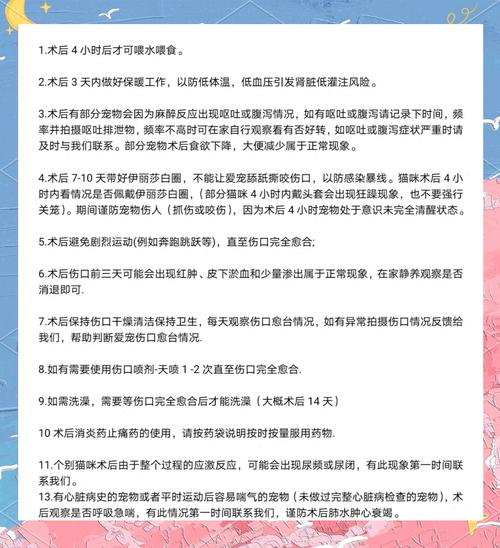 猫咪绝育后怎么照顾,猫猫绝育了怎么照顾-第1张图片-后鲨宠物 猫咪绝育后怎么照顾,猫猫绝育了怎么照顾-第1张图片-后鲨宠物