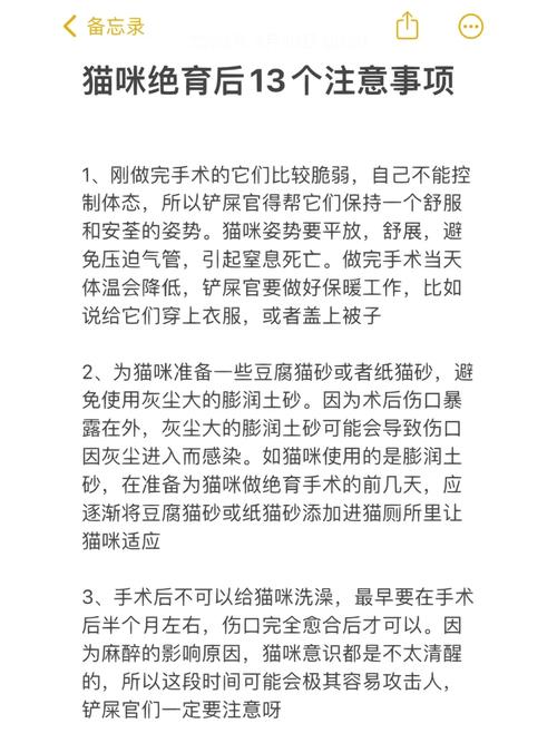 猫咪绝育后怎么照顾,猫猫绝育了怎么照顾-第2张图片-后鲨宠物 猫咪绝育后怎么照顾,猫猫绝育了怎么照顾-第2张图片-后鲨宠物