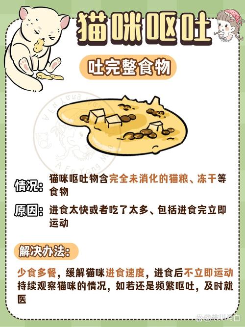 猫咪吐了怎么回事_猫咪隔一段时间就吐怎么回事-第1张图片-后鲨宠物 猫咪吐了怎么回事_猫咪隔一段时间就吐怎么回事-第1张图片-后鲨宠物