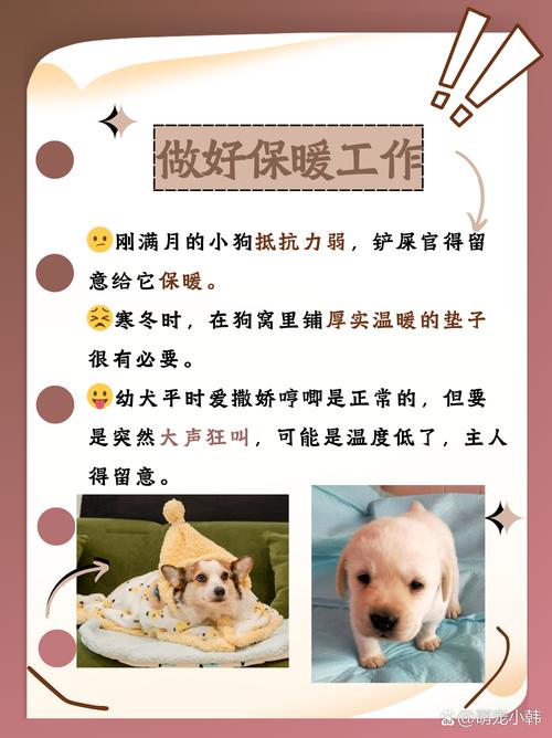 狗狗能吃奶粉吗,狗狗能吃奶粉吗怎么喂-第1张图片-后鲨宠物 狗狗能吃奶粉吗,狗狗能吃奶粉吗怎么喂-第1张图片-后鲨宠物