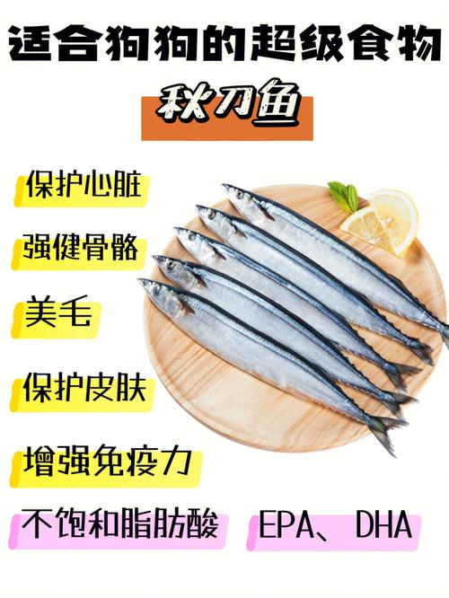 狗狗可以吃秋刀鱼吗,狗能不能吃秋葵?-第4张图片-后鲨宠物 狗狗可以吃秋刀鱼吗,狗能不能吃秋葵?-第4张图片-后鲨宠物