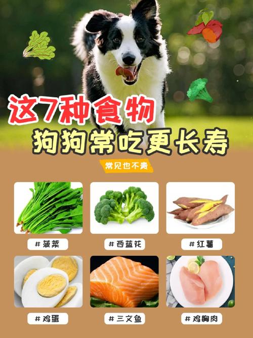 狗狗可以吃秋刀鱼吗,狗能不能吃秋葵?-第5张图片-后鲨宠物 狗狗可以吃秋刀鱼吗,狗能不能吃秋葵?-第5张图片-后鲨宠物