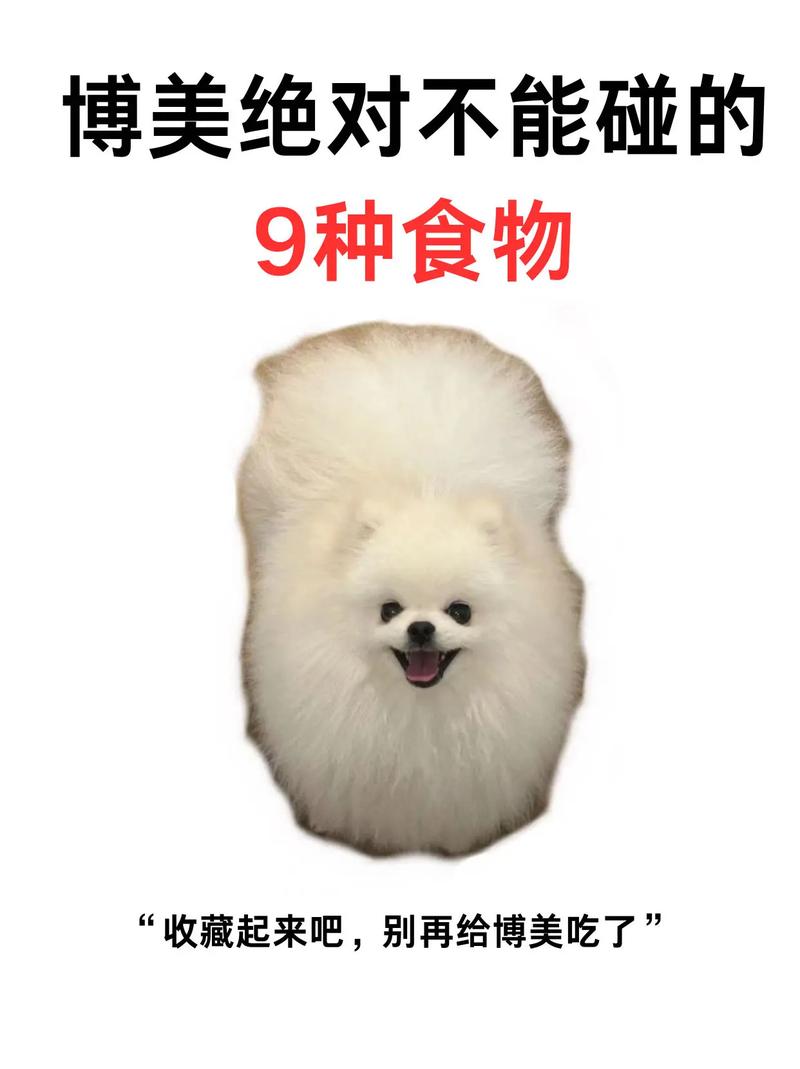 狗狗能吃薄荷吗,狗狗能不能吃薄荷糖?-第4张图片-后鲨宠物 狗狗能吃薄荷吗,狗狗能不能吃薄荷糖?-第4张图片-后鲨宠物