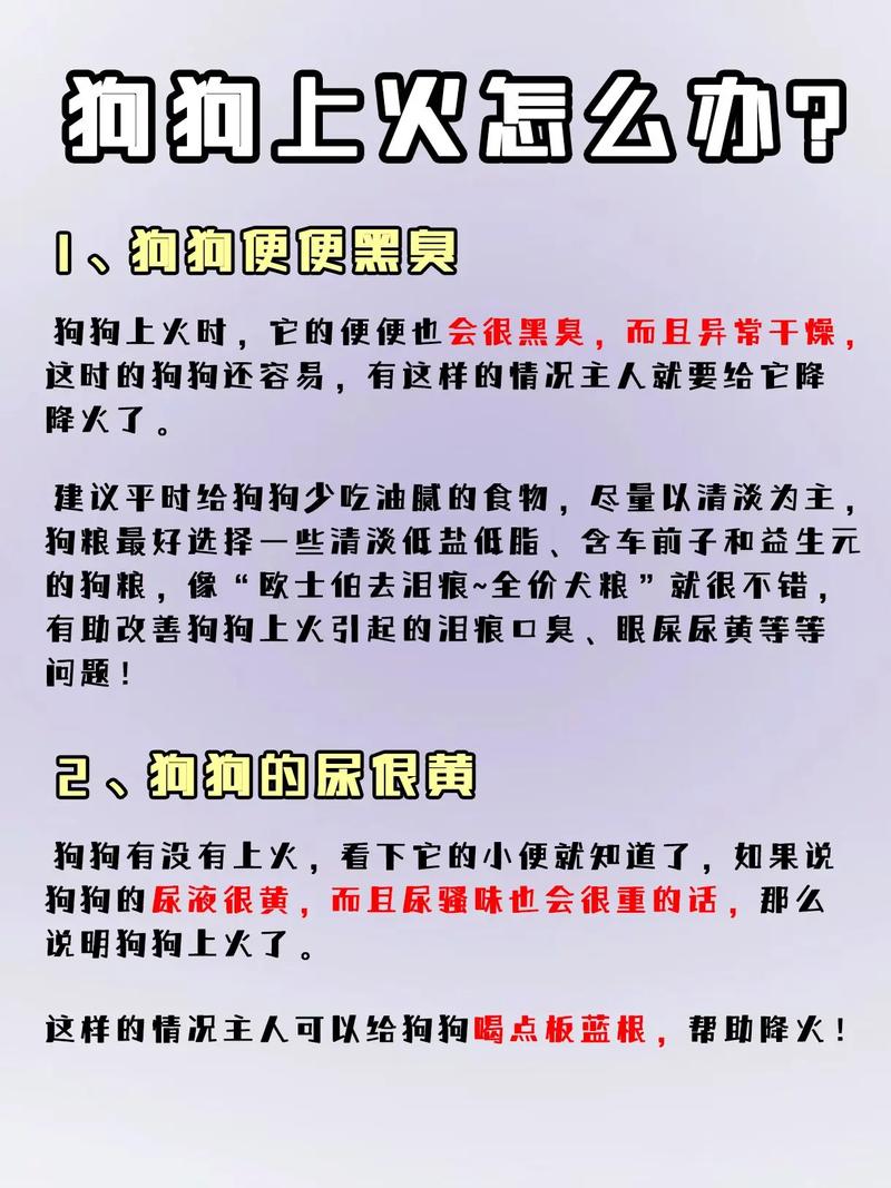 狗狗吃狗粮上火怎么办,小狗吃狗粮上火正常吗?-第1张图片-后鲨宠物 狗狗吃狗粮上火怎么办,小狗吃狗粮上火正常吗?-第1张图片-后鲨宠物