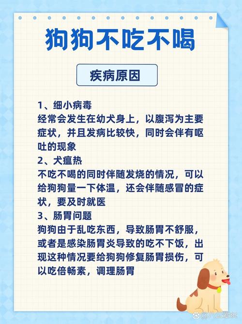 狗狗可以吃糯米饭吗_狗狗可以吃糯米不-第2张图片-后鲨宠物 狗狗可以吃糯米饭吗_狗狗可以吃糯米不-第2张图片-后鲨宠物