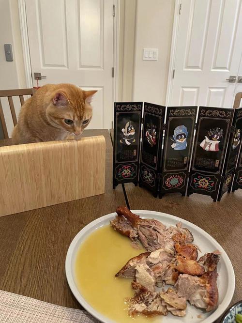 猫咪能吃烤鸭吗_猫咪可以吃烤鸭肉吗?-第4张图片-后鲨宠物 猫咪能吃烤鸭吗_猫咪可以吃烤鸭肉吗?-第4张图片-后鲨宠物