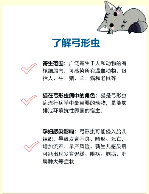 怎么预防猫咪弓形虫,预防猫咪弓形虫是吃药还是打针呢?-第2张图片-后鲨宠物 怎么预防猫咪弓形虫,预防猫咪弓形虫是吃药还是打针呢?-第2张图片-后鲨宠物