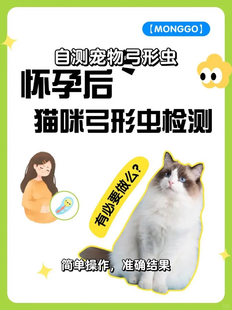 怎么预防猫咪弓形虫,预防猫咪弓形虫是吃药还是打针呢?-第5张图片-后鲨宠物 怎么预防猫咪弓形虫,预防猫咪弓形虫是吃药还是打针呢?-第5张图片-后鲨宠物