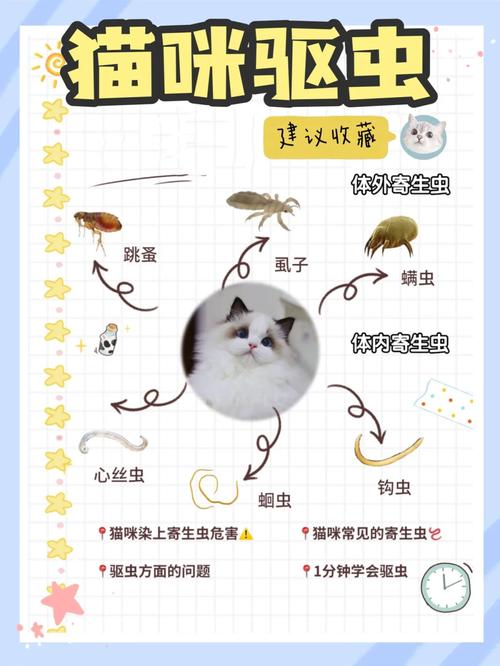 怎么预防猫咪弓形虫,预防猫咪弓形虫是吃药还是打针呢?-第6张图片-后鲨宠物 怎么预防猫咪弓形虫,预防猫咪弓形虫是吃药还是打针呢?-第6张图片-后鲨宠物