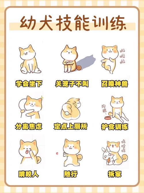 狗狗多大适合训练,狗狗应该多大就可以训练了?-第2张图片-后鲨宠物 狗狗多大适合训练,狗狗应该多大就可以训练了?-第2张图片-后鲨宠物