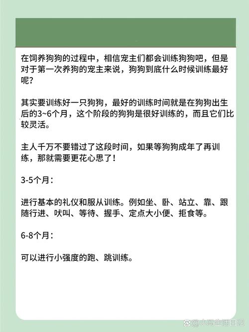 狗狗多大适合训练,狗狗应该多大就可以训练了?-第4张图片-后鲨宠物 狗狗多大适合训练,狗狗应该多大就可以训练了?-第4张图片-后鲨宠物