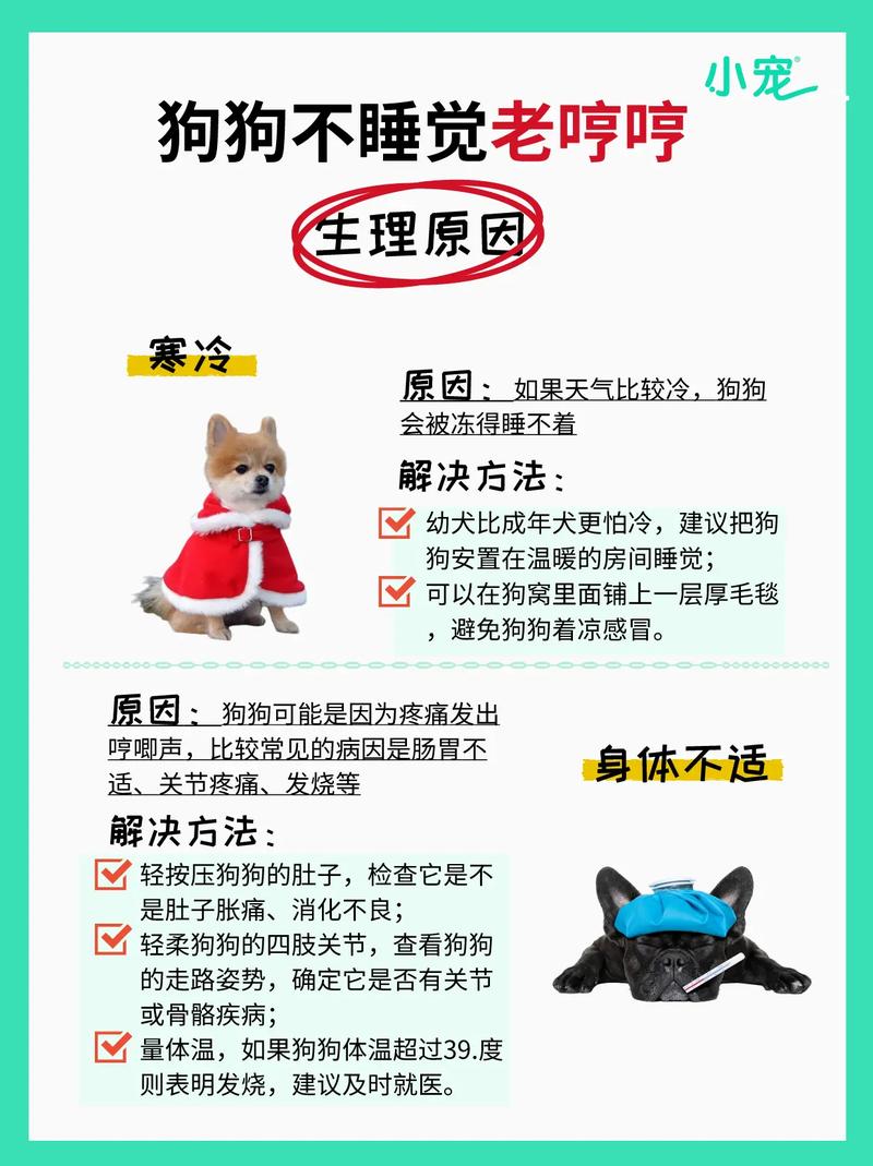 半夜狗狗叫不停怎么办,半夜狗狗叫不停怎么办视频-第2张图片-后鲨宠物 半夜狗狗叫不停怎么办,半夜狗狗叫不停怎么办视频-第2张图片-后鲨宠物