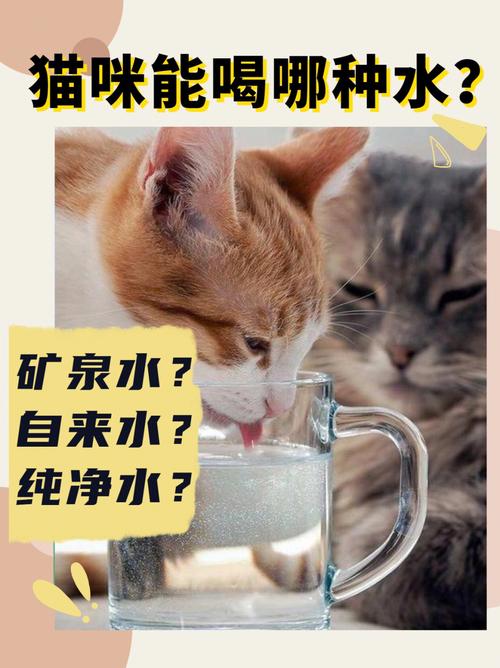 猫咪能不能喝自来水,猫可以喝自来水吗 知乎?-第3张图片-后鲨宠物 猫咪能不能喝自来水,猫可以喝自来水吗 知乎?-第3张图片-后鲨宠物
